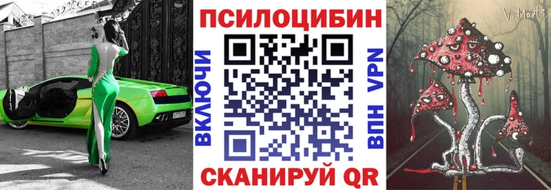 где продают   Холмск  Галлюциногенные грибы Cubensis 